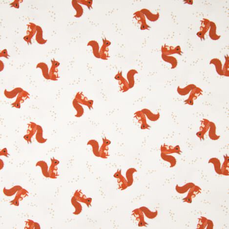 Jersey "Squirrels", Eichhörnchen,  elastischer Stoff für tolle Kleidung für groß und klein. Ökotex 100